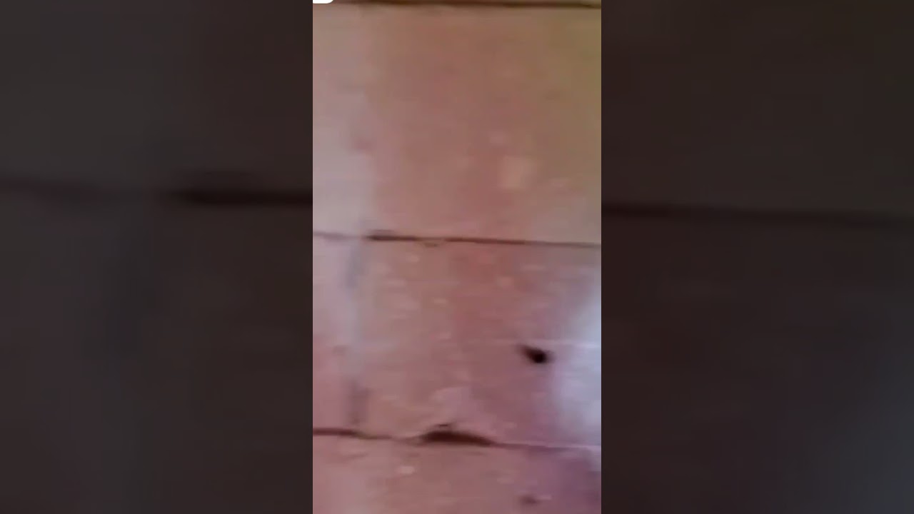 Bhutiya Ghar Ke Video | Bhutiya Ghar | Bhoot | Dhakad Chhora