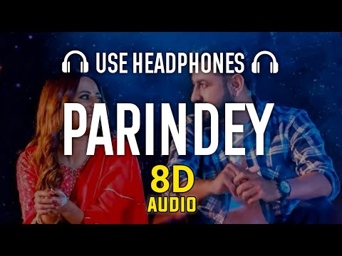 Parindey (8D AUDIO) B Praak | Nagine Lishk de Dekhe | Latest Punjabi Song 2024