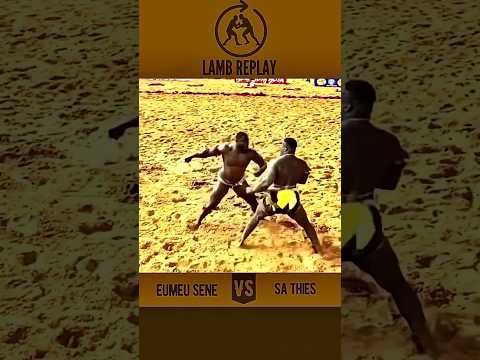 Eumeu Sene vs Sa Thiés #eumeusene #sathiés #luttesénégalaise #lamb