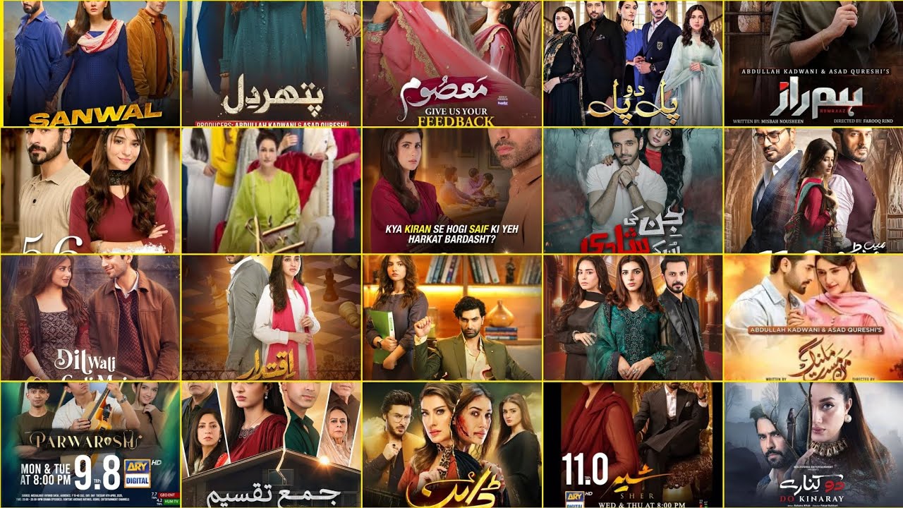 Top 20 Best Pakistani Dramas of 2025 🎬