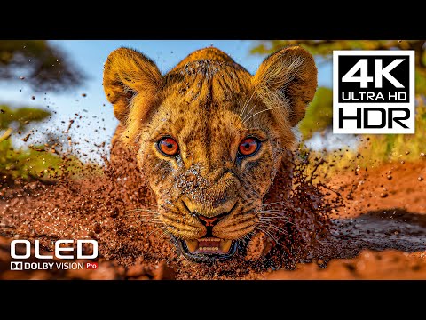 4K HDR 120 FPS - BEST Dolby Vision 4K Video with Relaxing Music for Stress Relief