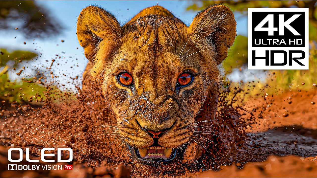 Ultimate Relaxation: 4K HDR & Dolby Vision Stress Relief Video with Soothing Music 🎶