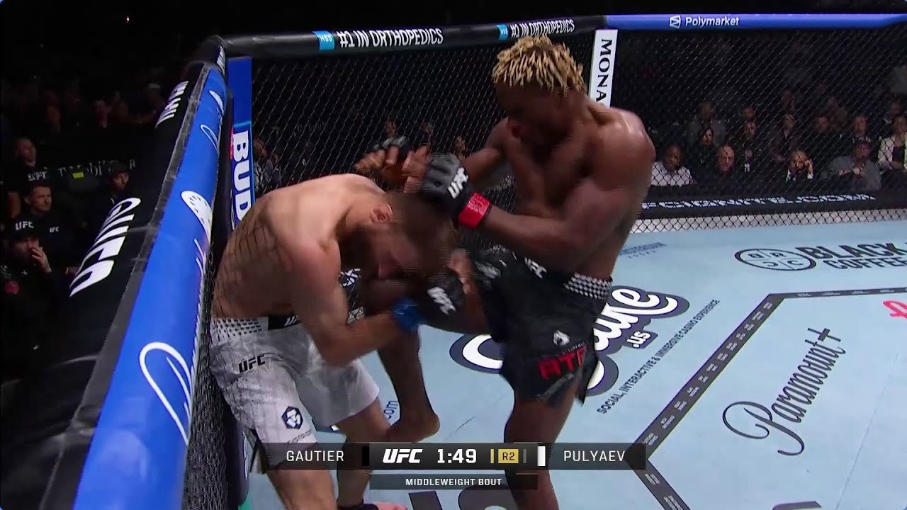 Ateba Gautier vs Andrey Pulyaev UFC 324 Full Fight Recap