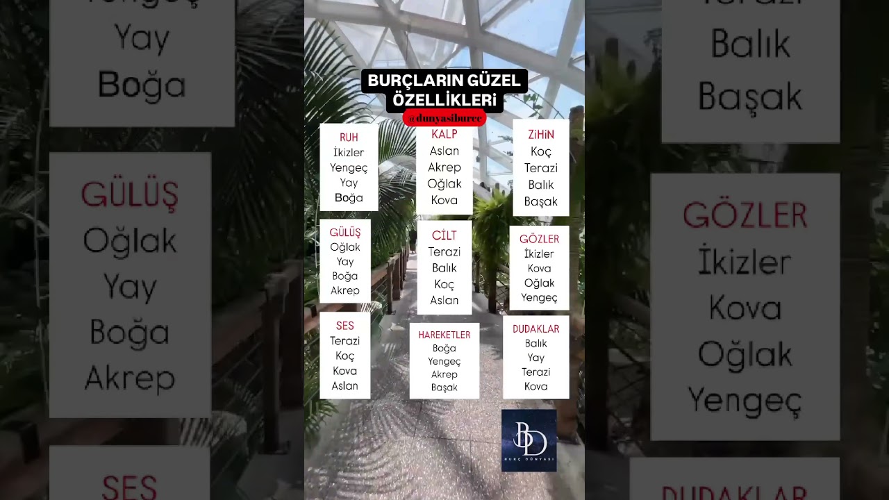 Burçların Güzel Özellikleri ve Seninkisi 🌟