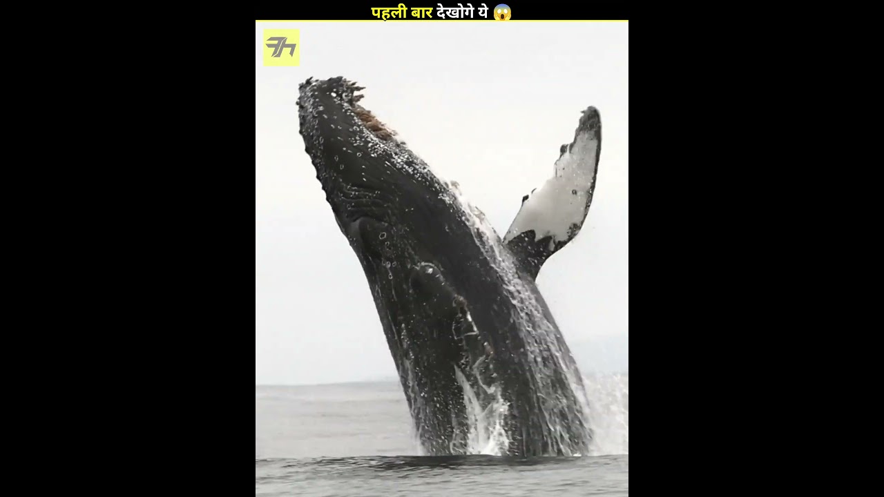 How Movie Sounds Are Made 🎬