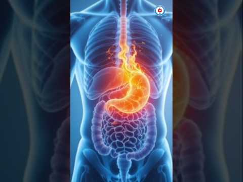 рдХрдбрд╝реА рдкрддреНрддрд╛ рдЦрд╛рдиреЗ рдХреЗ 5 рдЬрдмрд░рджрд╕реНрдд рдлрд╛рдпрджреЗ ЁЯМ┐ | | Curry Patta Benefits in Hindi#facts #food #amazingfacts