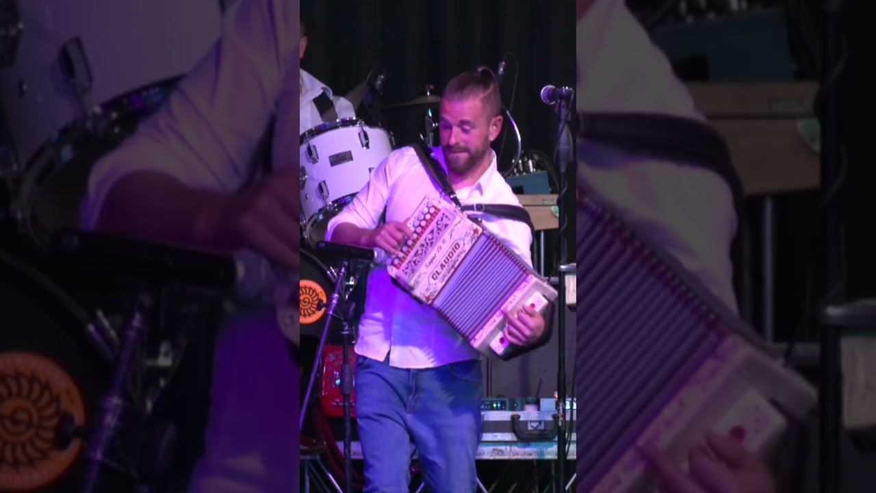 Calabrisella Mia on Fisarmonica 🎶 - The Ultimate Dance Music Experience