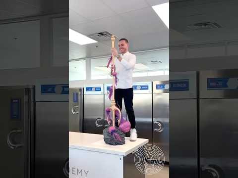 Chocolate Trident! π± I love how the jellyfishes float around it!