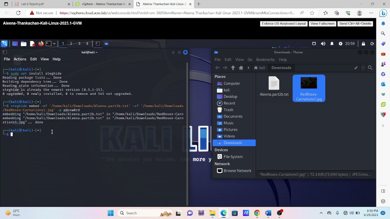 Master Steghide in Kali Linux: Hide Data in Images Effortlessly 📁