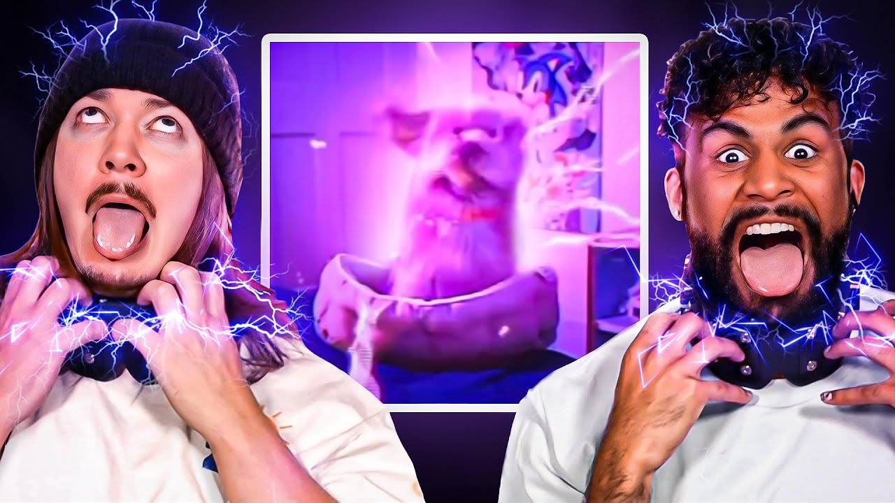 Shocking Reels + 10% Off Gamer Supps 🎮