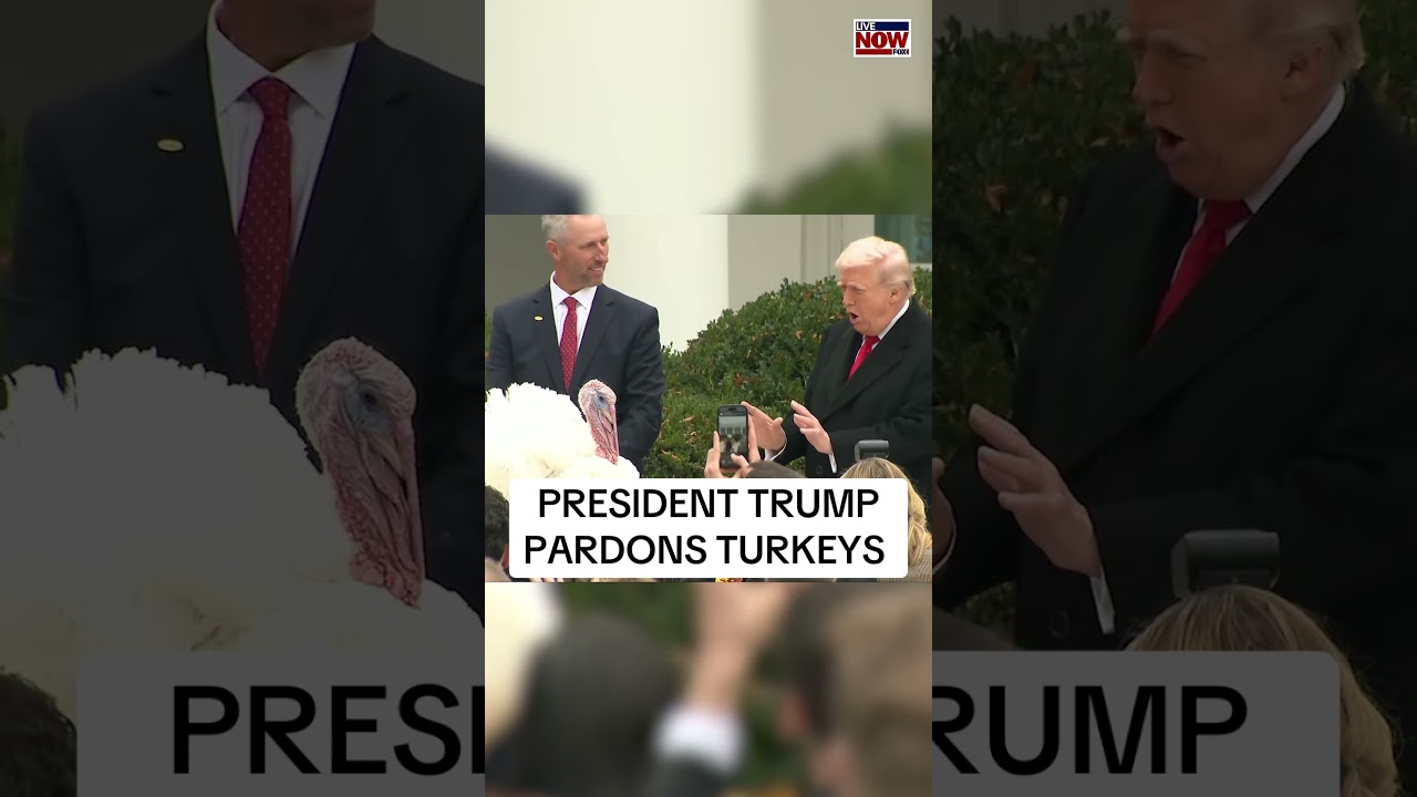 Trump Pardons Two Thanksgiving Turkeys π¦