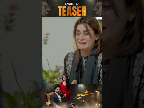 Sher Episode 37 | Teaser | #DanishTaimoor | #SarahKhan | 18 September 2025 | #shorts