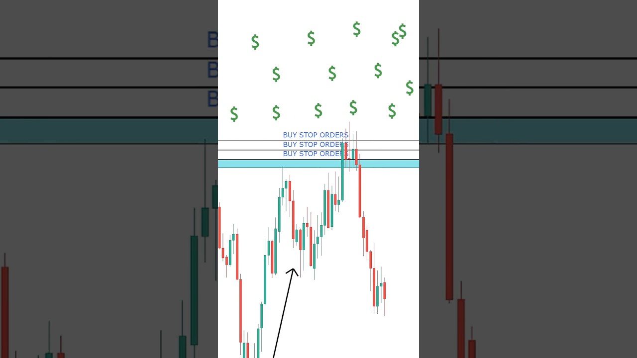 Institutions & Market Manipulation ⚠️