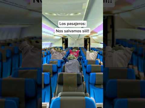 El piloto 💀 créditos: @BeastyMan #humor #aviones