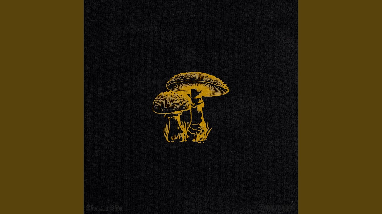 Viva La Vida by Soppgirobygget 🎶