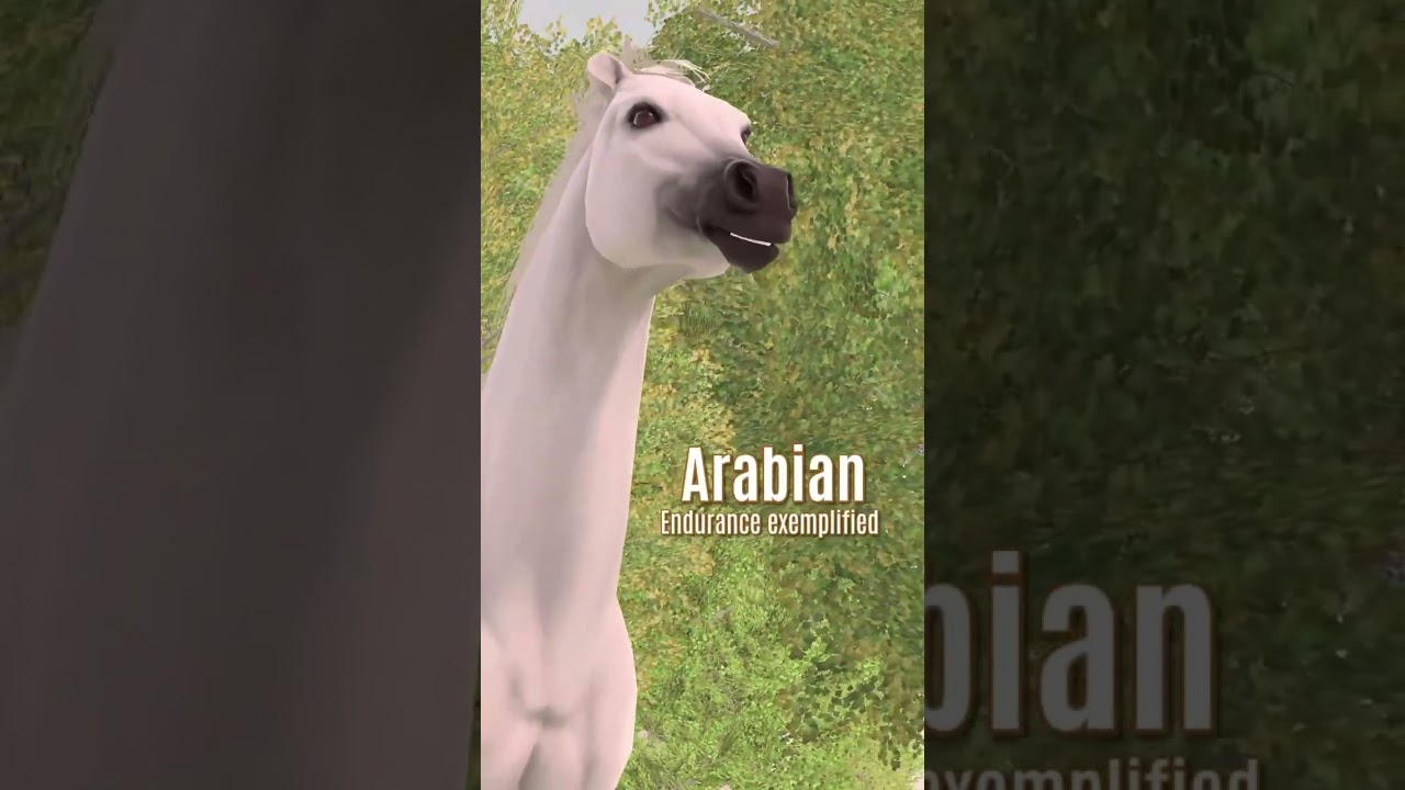 Favorite Horse Breed Collection 🐎