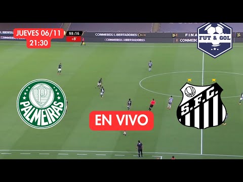 🔴 PALMEIRAS - SANTOS EN VIVO | BRASILEIRAO - FUT AND GOL