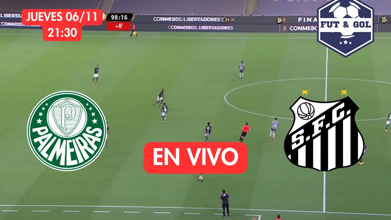🔴 Palmeiras vs Santos en Vivo | Brasileirão - Transmisión en Tiempo Real