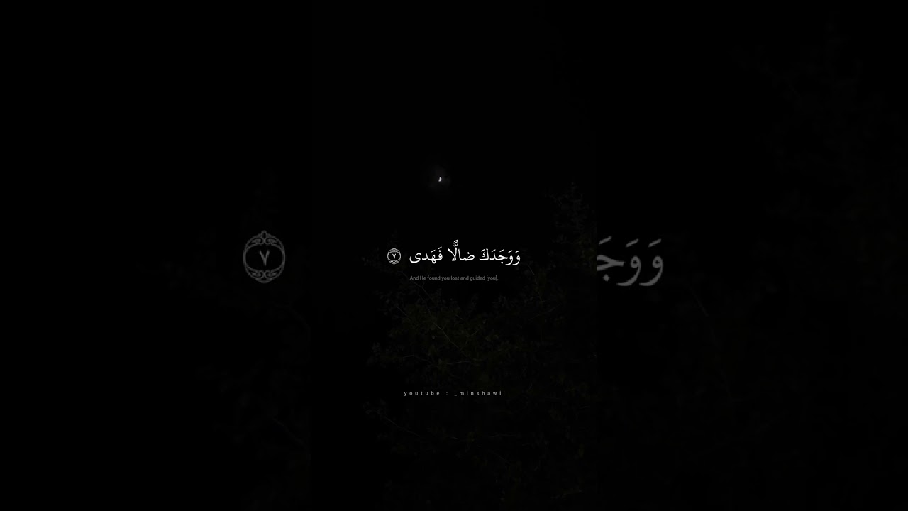 آلم يجدك يتيمًا فآوى - محمد صديق المنشاوي 🎶