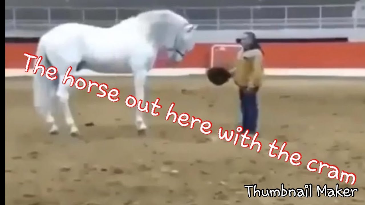 Tony Baker CRAM 😂 | Try Not to Laugh Challenge