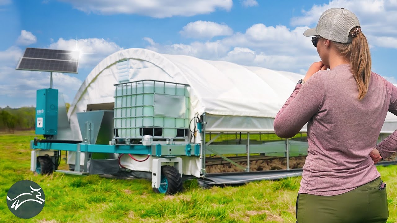 Future of Pasture-Raised Chicken: Fully Automated ๐