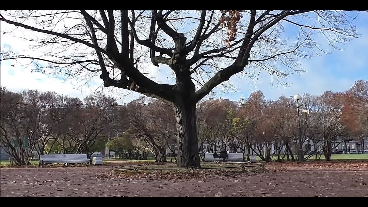 4 Нет мероприятий в СПб 4 ноября 2025