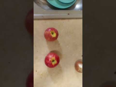 What is computational complexity theory?