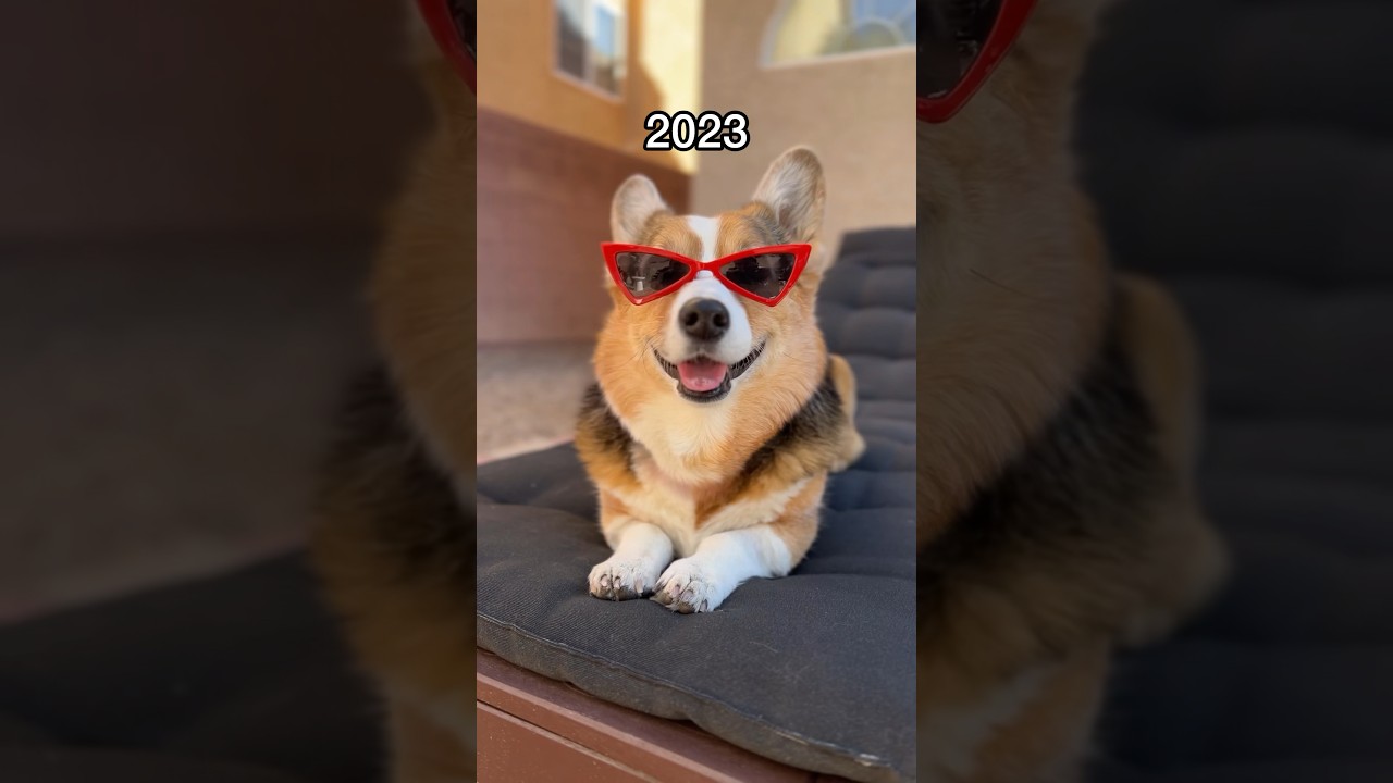 Reflecting on an Unforgettable Year