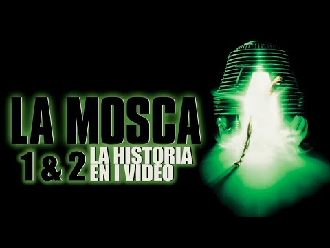 La Mosca 1 y 2: Historia en un Video 🎥