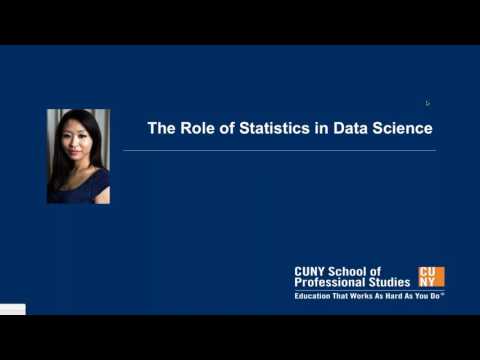 MSDS Webinar: The Role of Statistics in Data Science