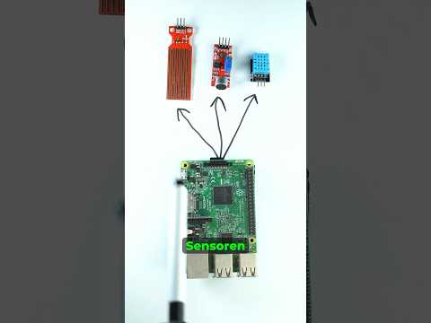 Sensordaten abholen #informatik #bildung #wissen #lernen