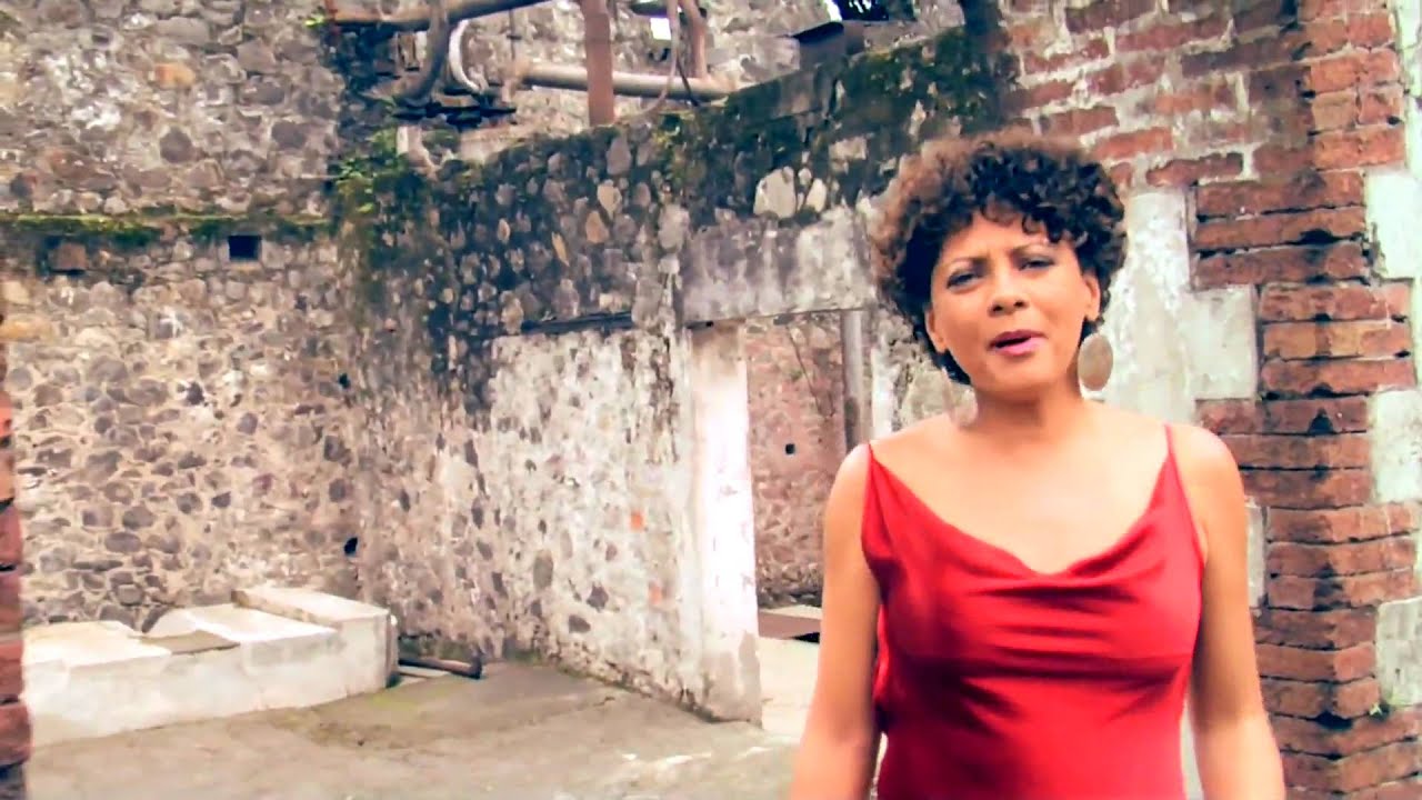 [Clip] MALAVOI et RALPH THAMAR Feat ORLANE - FAYALOBI -2010