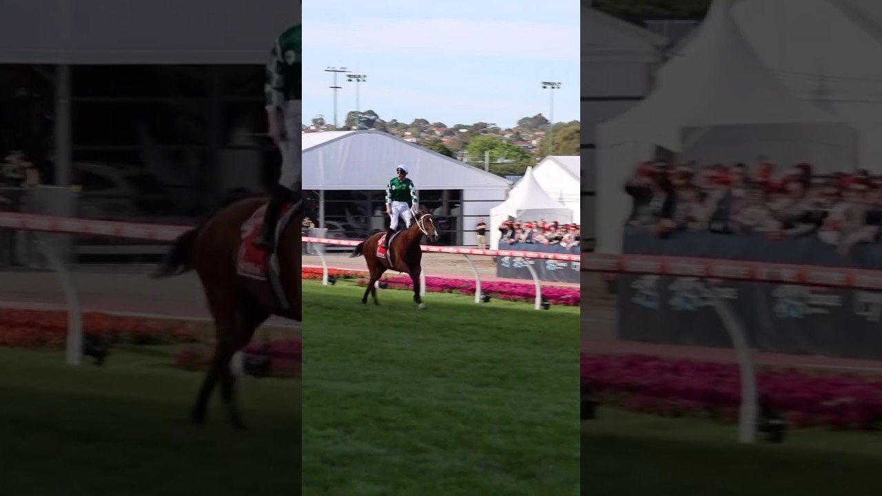 Via Sistina Wins Cox Plate by 8 Lengths 🏆