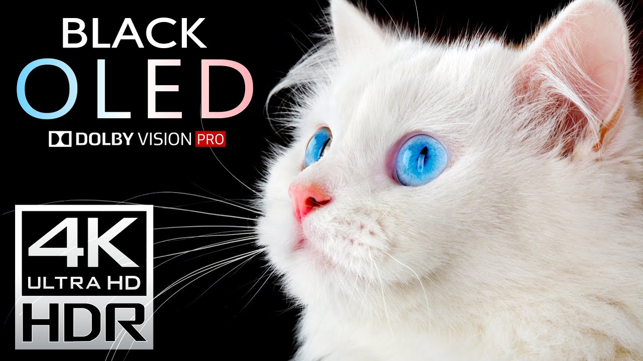 OLED Deep Black 4K HDR Dolby Vision at 120fps