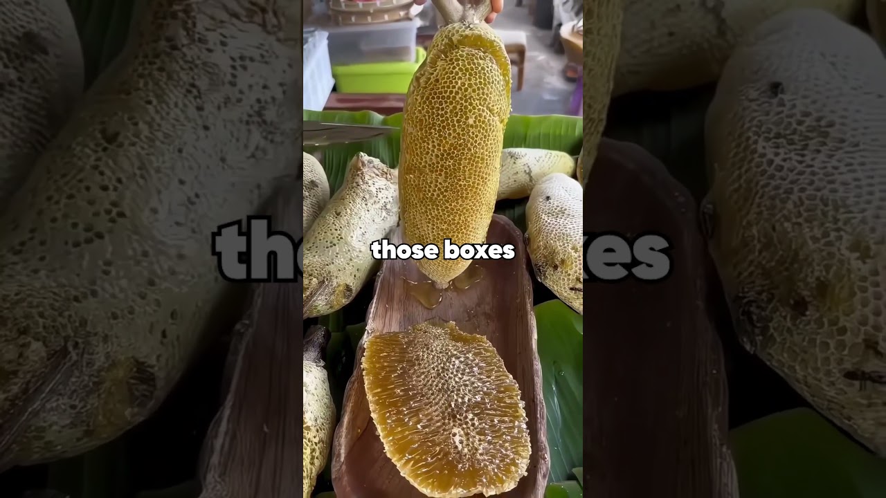 Amazon Driver's Odd Warning πͺ