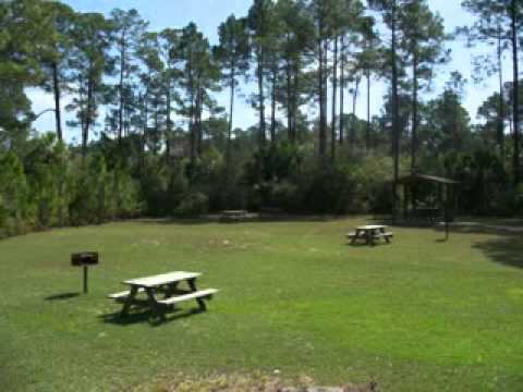 Vitiyu MELODIA ZŁOTEGO CEDRU GOLDEN CEDAR MELODY