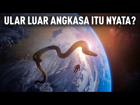 Astronot Laporkan Penampakan Mengejutkan Ular Luar Angkasa!