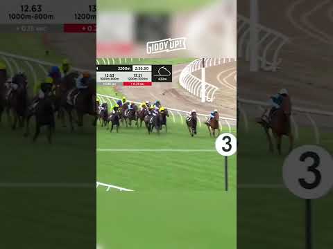 AMAZING run by GOLD TRIP to win the 2022 MELBOURNE CUP 🐎🏆 #horseracing #melbournecup