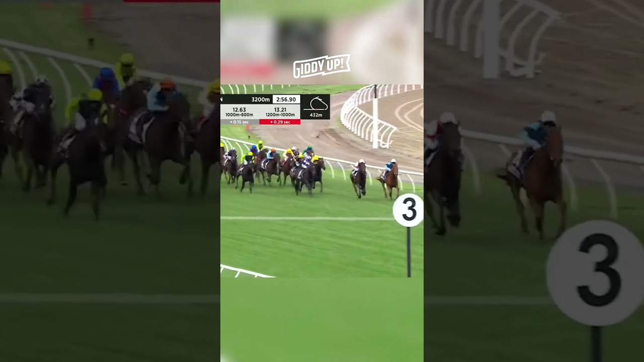 Gold Trip's Stunning Victory at the 2022 Melbourne Cup 🏆