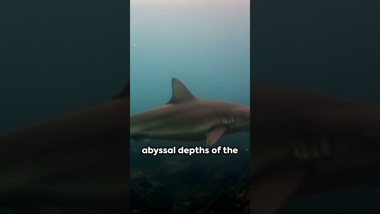 Amazing Nature Facts You Didn't Know πΏ