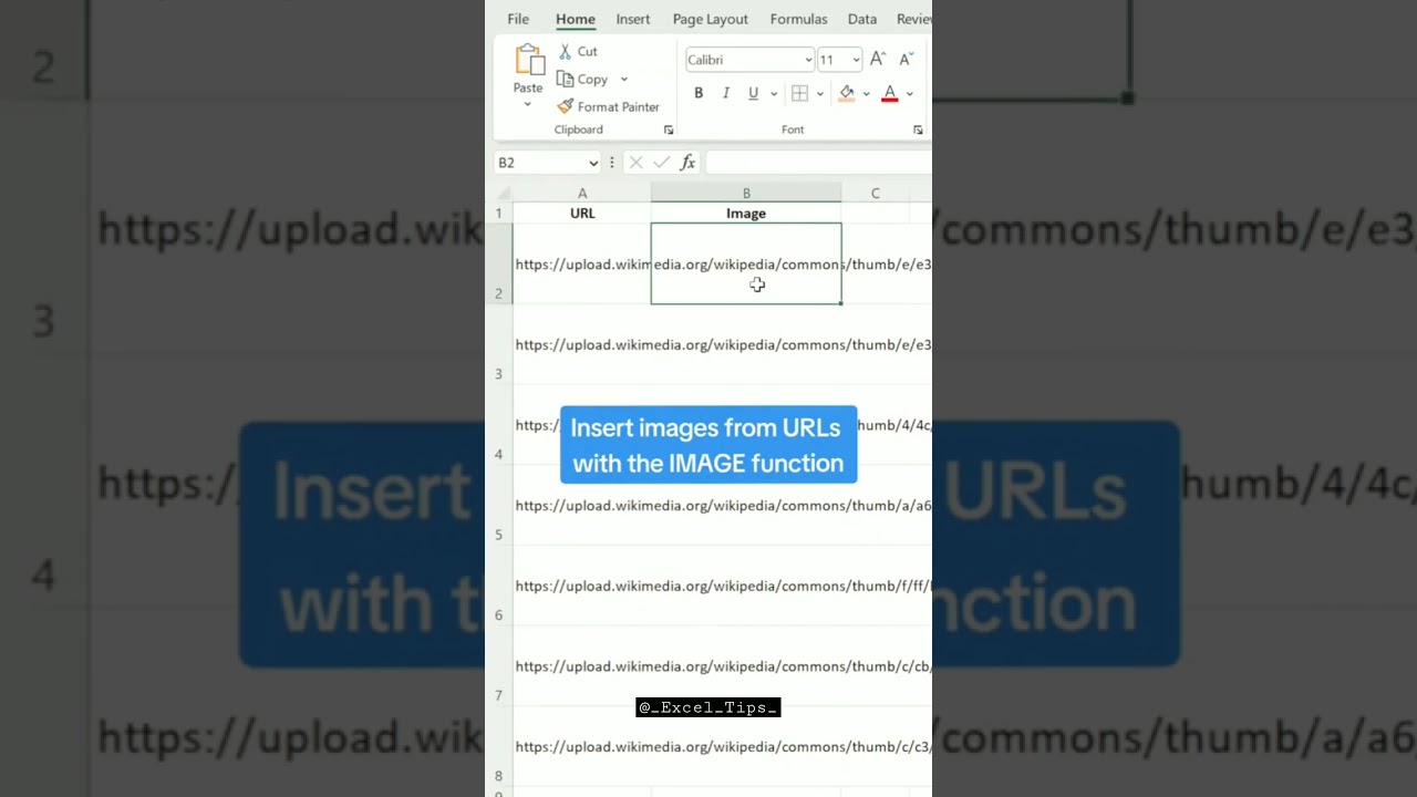 Excel Tips: Insert Images from URLs with IMAGE Function ๐
