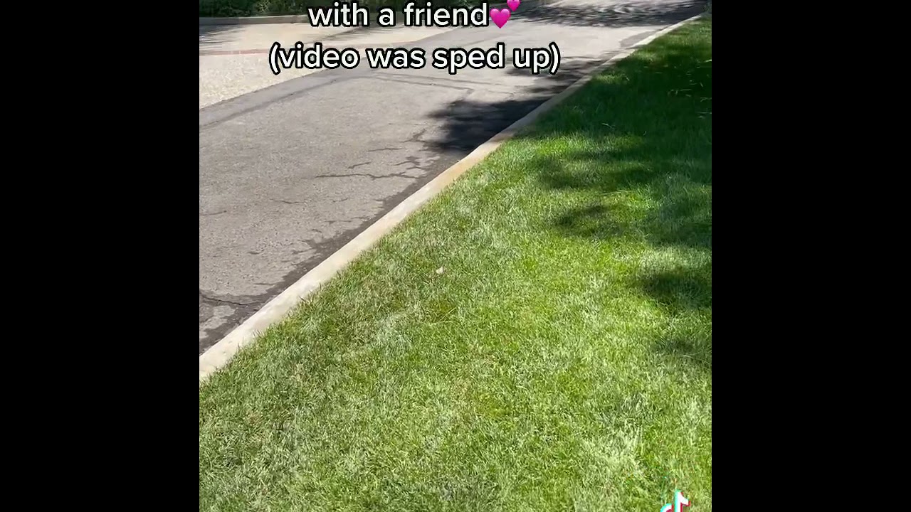 Peabody: The World’s Smallest Horse 🐴 (2021)