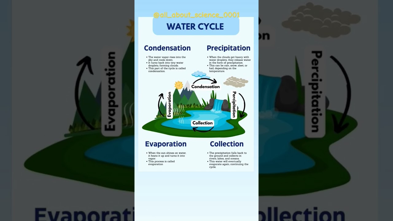 Day 67: Water Cycle ๐ง๏ธ