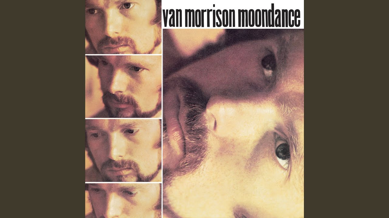 These Dreams of You (2013 Remaster) - Van Morrison