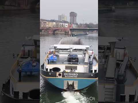 Франкфурт на майне! весна берет свое! #музыкабезслов #романтическаямузыка #музыкадлядвоих #guitar