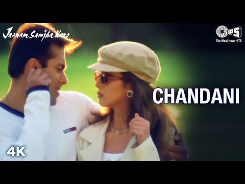 Chandani | Salman Khan, Urmila | Udit Narayan | Jaanam Samjha Karo | 90's Songs | Anu Malik