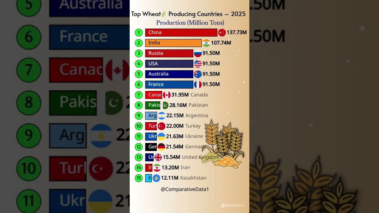 Top Wheat Producing Countries in 2025 🌾