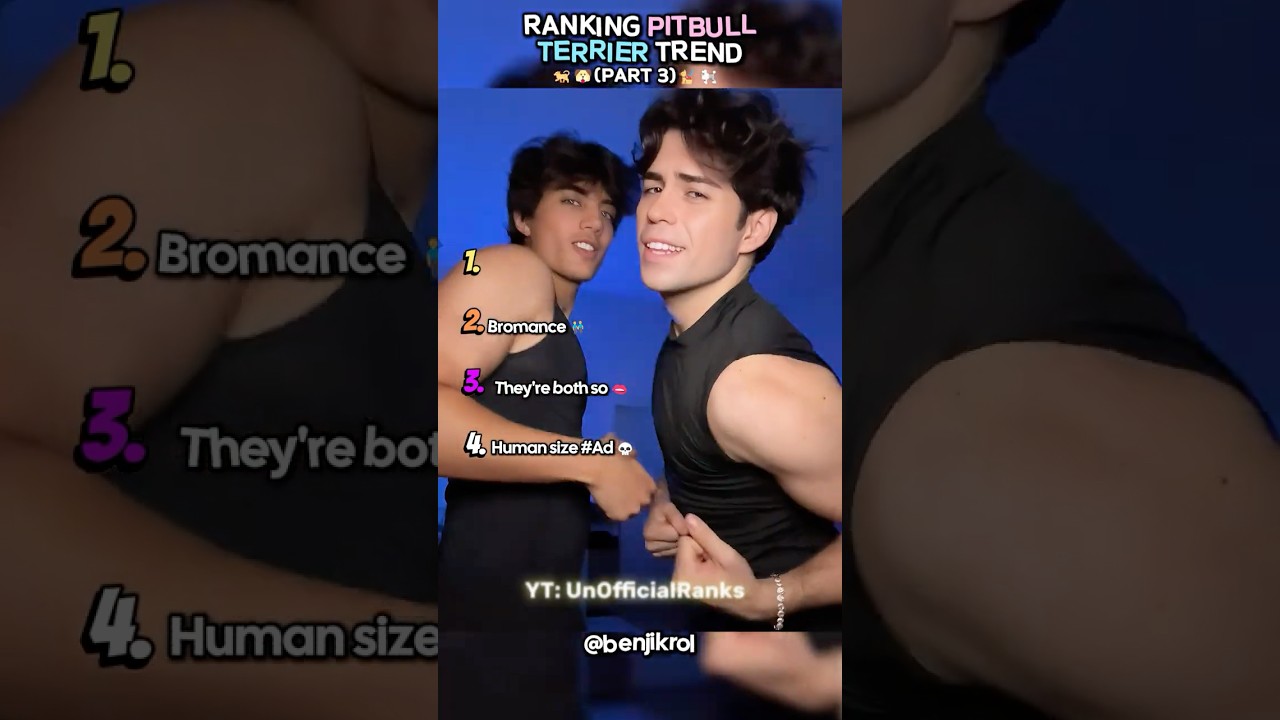 Ranking Best Pit Bull Terrier Trend- Part 3