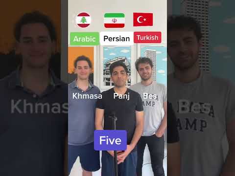 Arabic VS Persian VS Turkish!