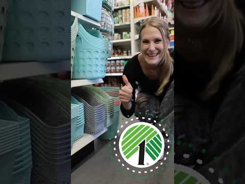 DOLLAR TREE organization hacks! 🤯 2024 #dollartree